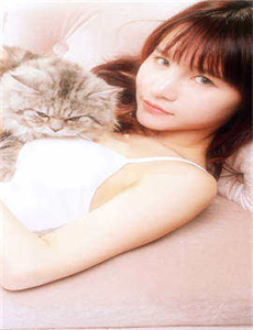 刀1995